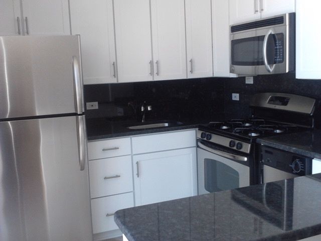 1st image of 1555 N Dearborn Pkwy APT 19D