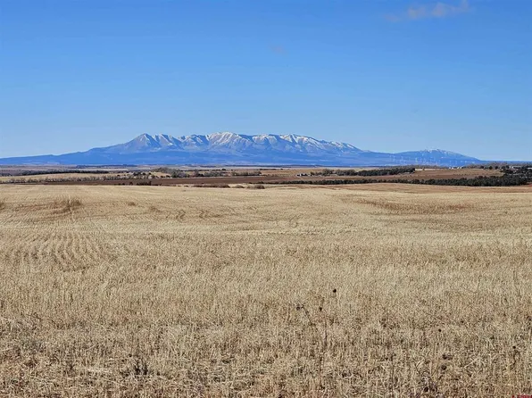 TBD Road 7.7, Dove Creek, CO 81324