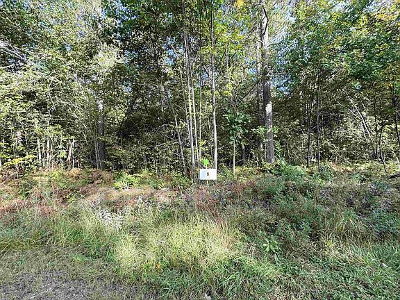 3rd image of Lot 5 SCOUT ROAD