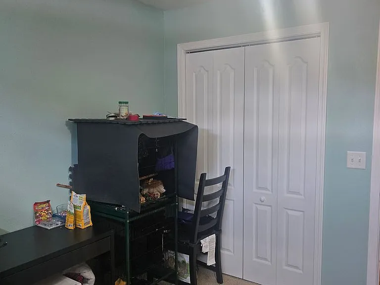 161 Lyle Curtis Cir — Photo 31