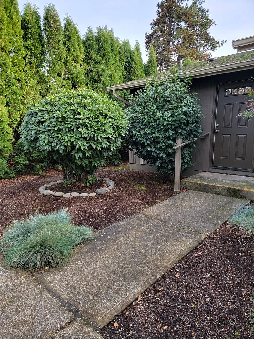#166 Wheatland Village Apartments — Photo 3