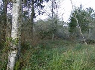 360 Eridani Loop SE, Ocean Shores, WA 98569
