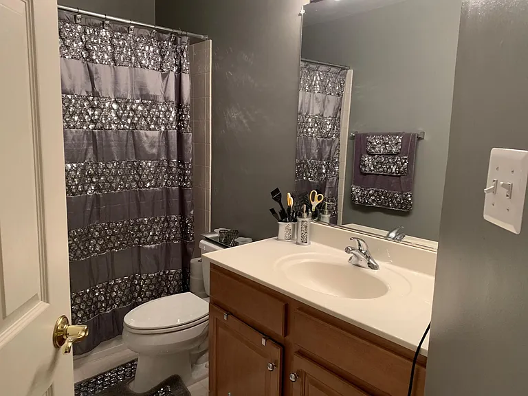 2961 Thompson Park Ln — Photo 10