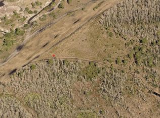 13 Holopaw Groves Rd, Saint Cloud, FL 34773