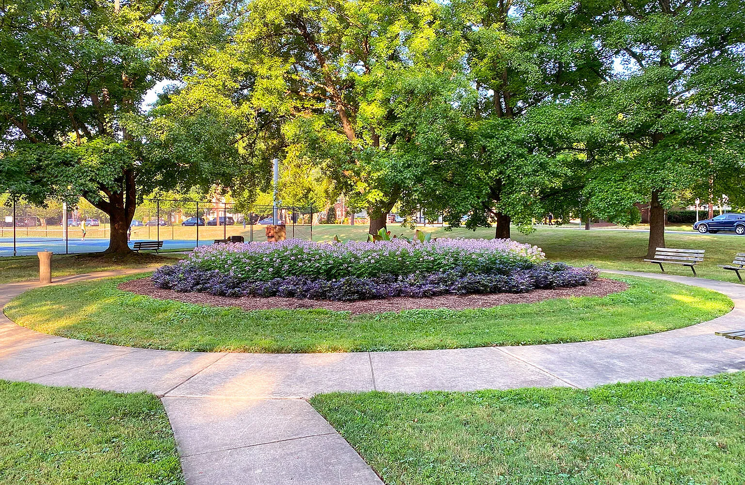 Blossom Dr, Rockville — Photo 3