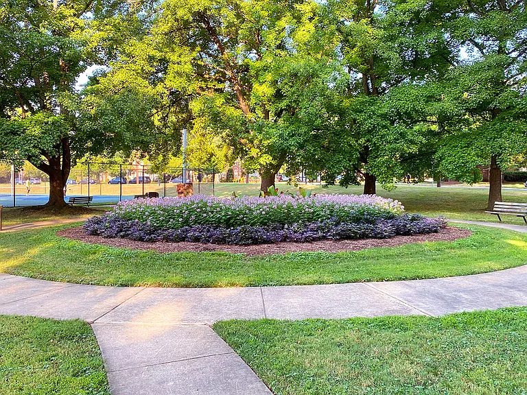 Blossom Dr — Photo 3