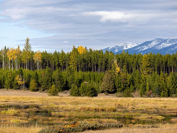 105th image of this home