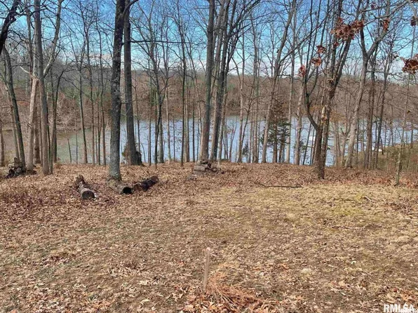 76 & 77 Saluki Way, Goreville, IL 62939