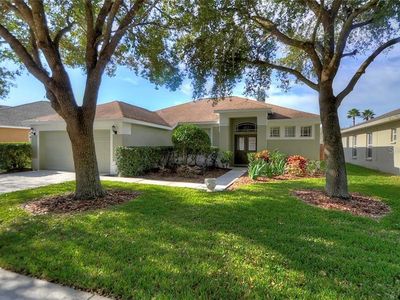 19407 Morden Blush Dr, Lutz, FL, 33558
