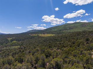 2435-2945 Co 131, McCoy, CO 81657