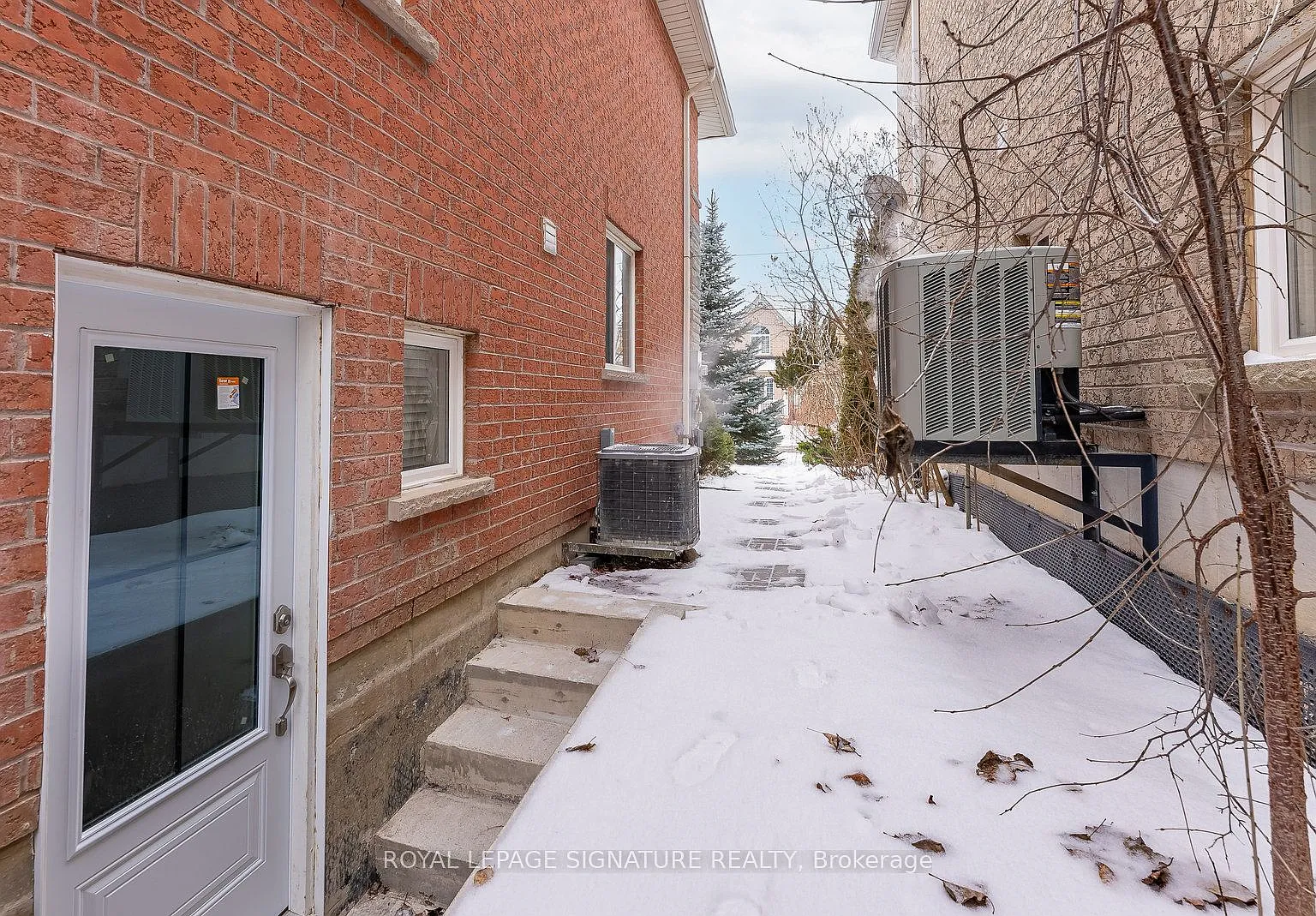 1 bed, $1,600 — Photo 4