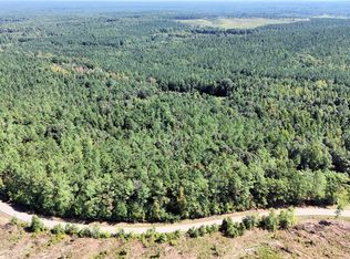 1098 Otis Paine Rd, Bethel Springs, TN 38315