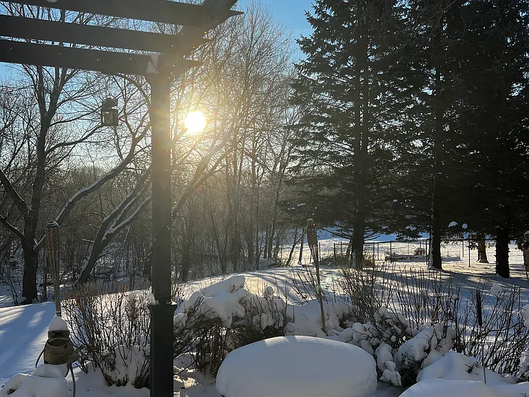Sunrises in the backyard.