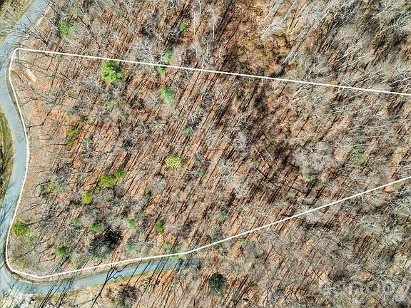 2nd image of 99 Spring Song Ln #9