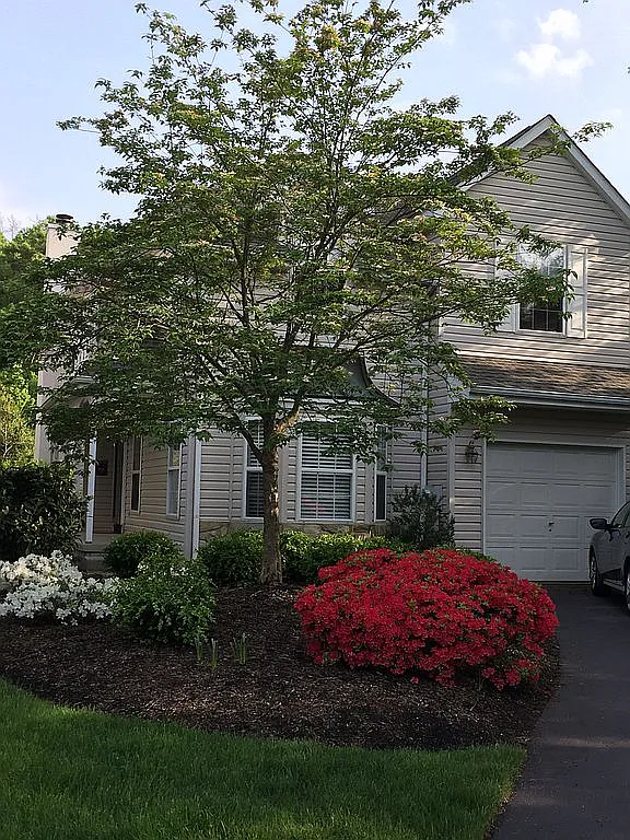 4683 Bradley Ct photo 1
