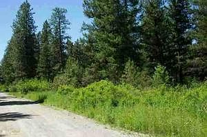 2nd image of 0 Pine Grove St