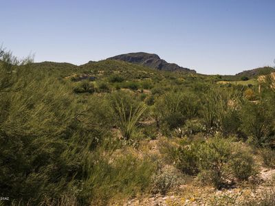 885 S Tohono Ridge Pl #38, Tucson, AZ, 85745