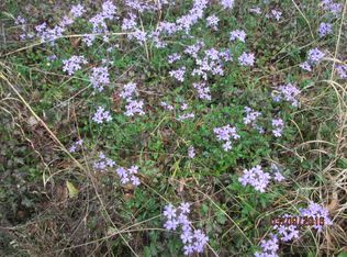 1046 Spring Hill Dr, Albany, GA 31721