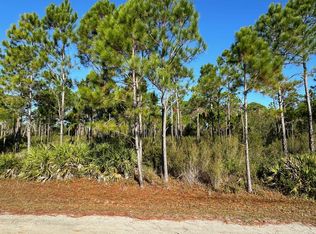 PARCEL 2 Houston Rd, Eastpoint, FL 32328