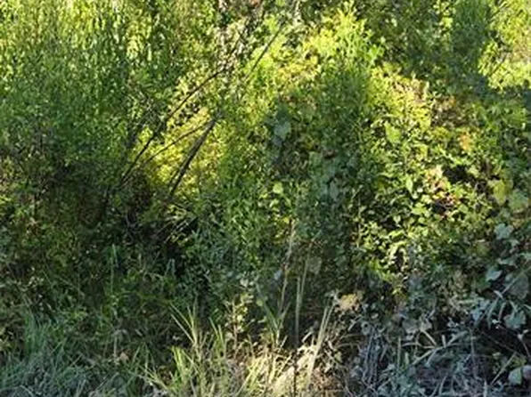 Evergreen St, New Pt Richey, FL 34654