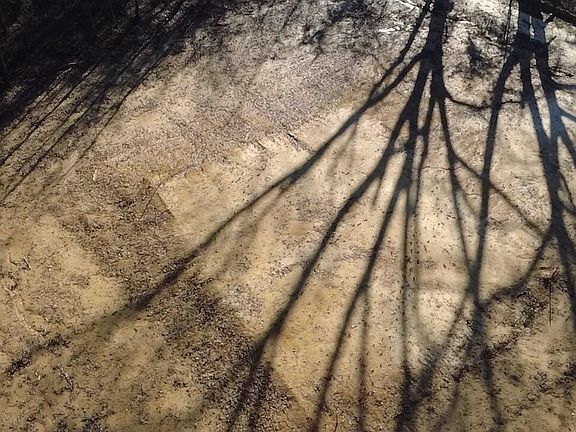 5th image of 0 Morton Rankin County Line Rd