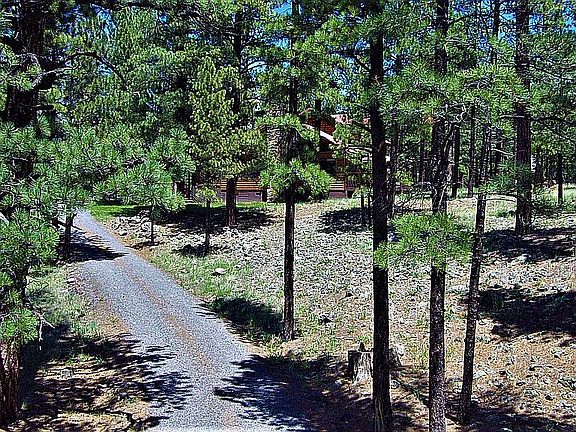 Lane leading from SR 373 to 
Main House and Guest Cabin