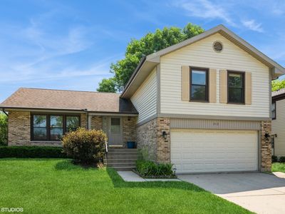313 Ronnie Dr, Buffalo Grove, IL, 60089