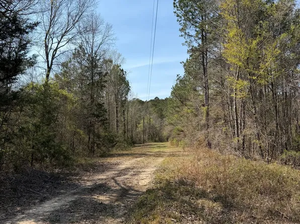 Mount Horeb Rd, Meridian, MS 39301