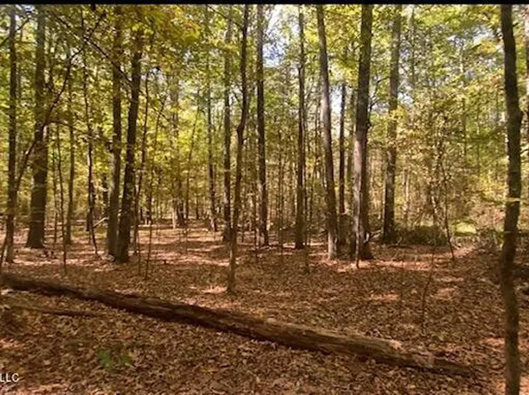 13991 Davenport Rd #5, Byhalia, MS 38611