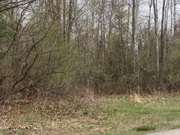 0 Birch, Pinconning, MI 48650