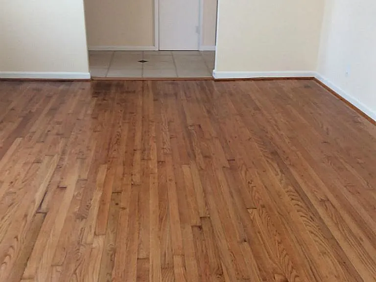 4002 Mischire Dr — Photo 12