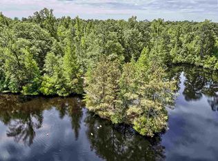 118 Painted Pony Ct, Elgin, SC 29045