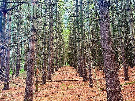 4th image of 0 Mountsberg Rd