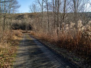 Spicewood Ln, Richmondville, NY 12187