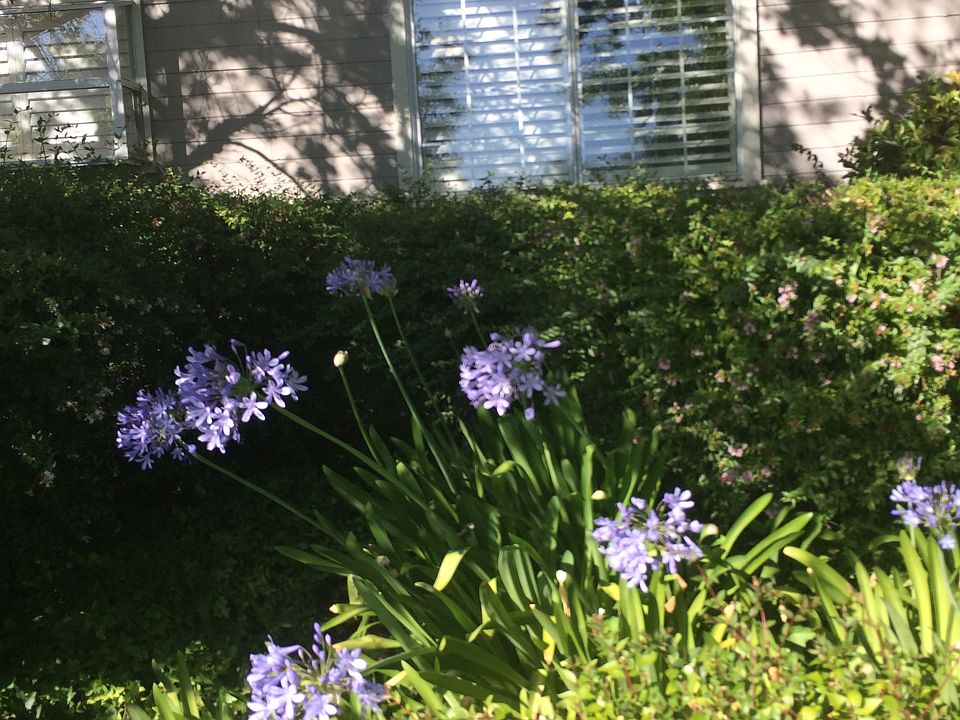 2nd image of 50 Valley Club Cir