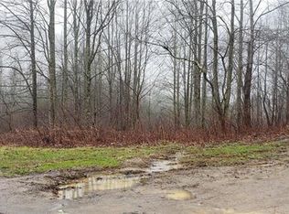 401 Charlies Rd, Marshall, NC 28753