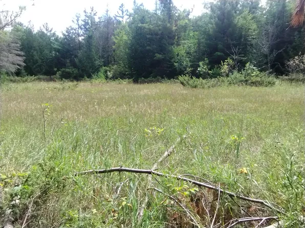 5060 Long Lake Rd, Alpena, MI 49707