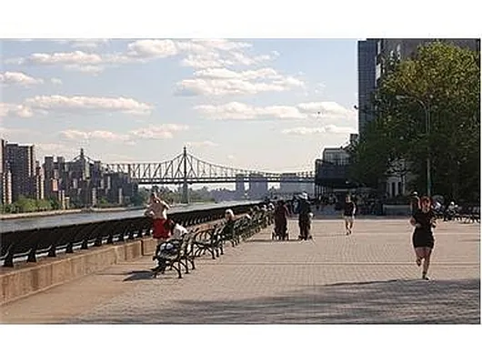 Rented by Douglas Elliman | media 8