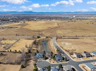 253 Beldock Ct, Brighton, CO 80601