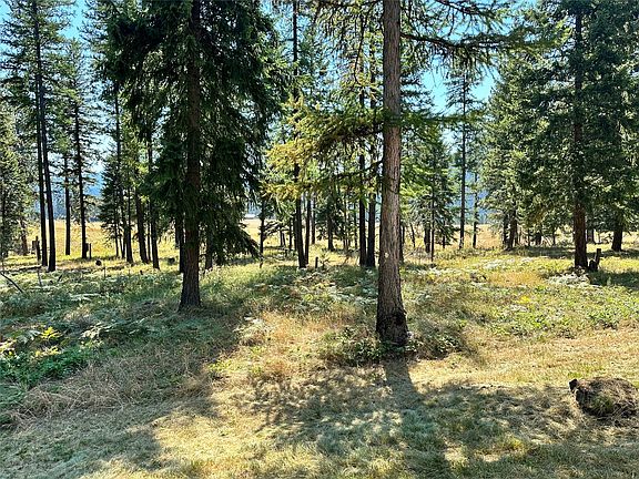 5th image of 26 Big Fir Dr