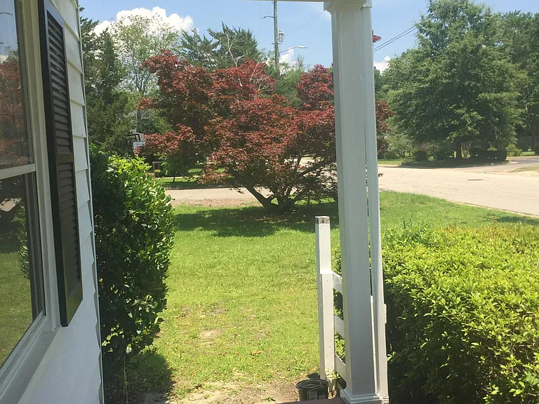 Nice yard