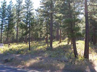 2305 Old Grizzly Rd, Portola, CA 96122