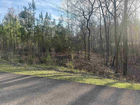 2nd image of 0 Shiloh Falls Court Rd