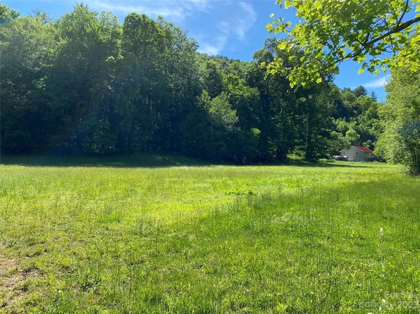 99999 Mink Farm Rd, Leicester, NC 28748