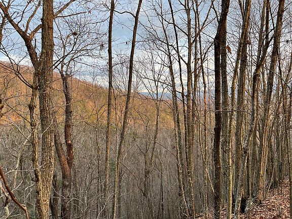 4th image of Carlock Creek Rd