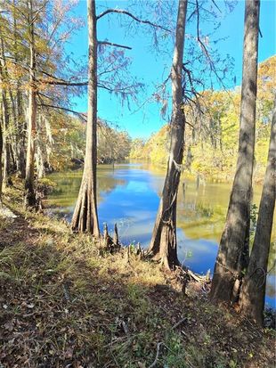 Section #T10n-r03w-13, Winnfield, LA 71483