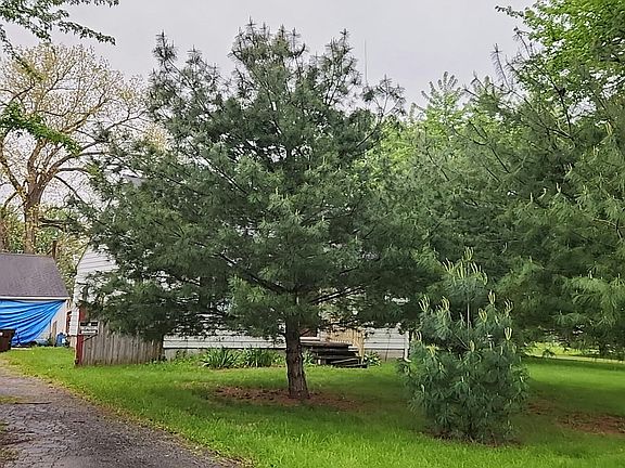 3rd image of 36913 Chestnut Ridge Rd