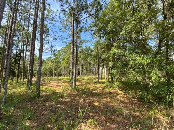SE 78th St Lot 5, Morriston, FL 32668