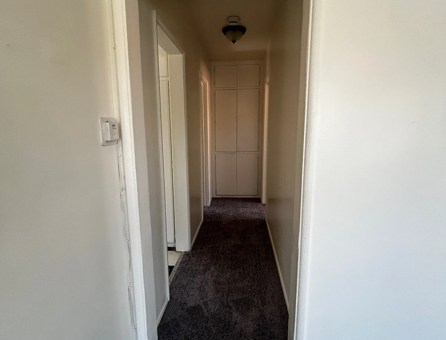 1 bed, $1,350 — Photo 2