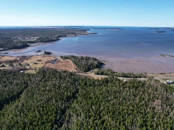 Lot 29D Cutler Road, Whiting, ME 04691
